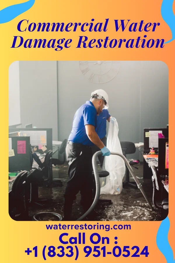 Commercial Water Damage Restoration in Schulenburg, TX