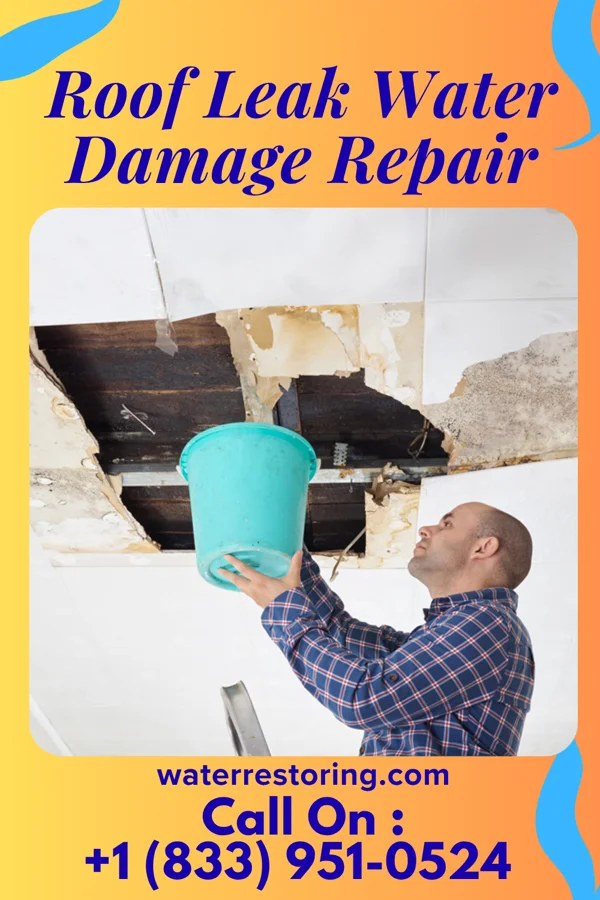 Roof Leak Water Damage Repair in Schulenburg, TX